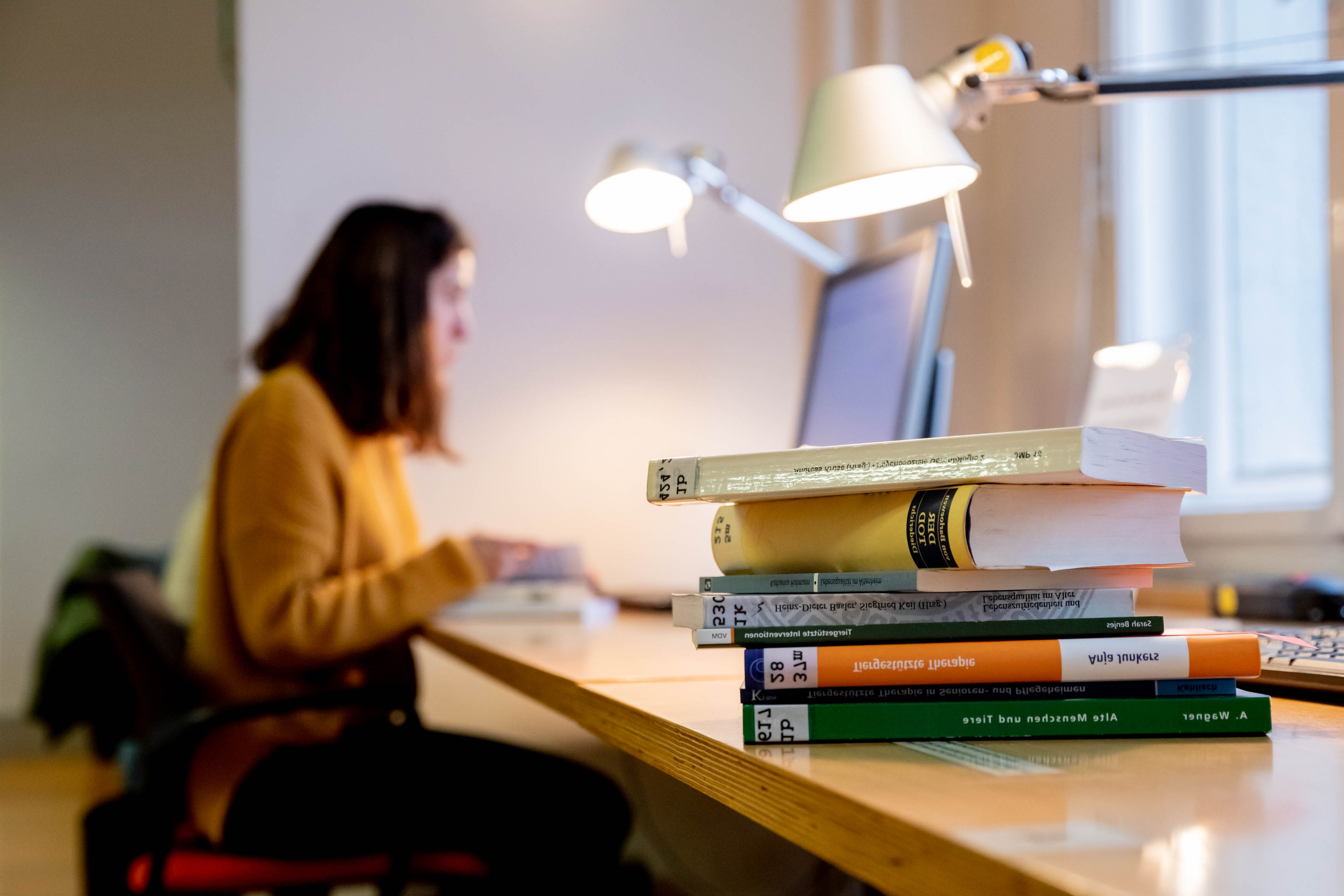 Das Foto zeigt einen Arbeitsplatz in der Bibliothek des DZA, mit Lampe, Laptop, hohem Bücherstapel auf der Arbeitsfläche 